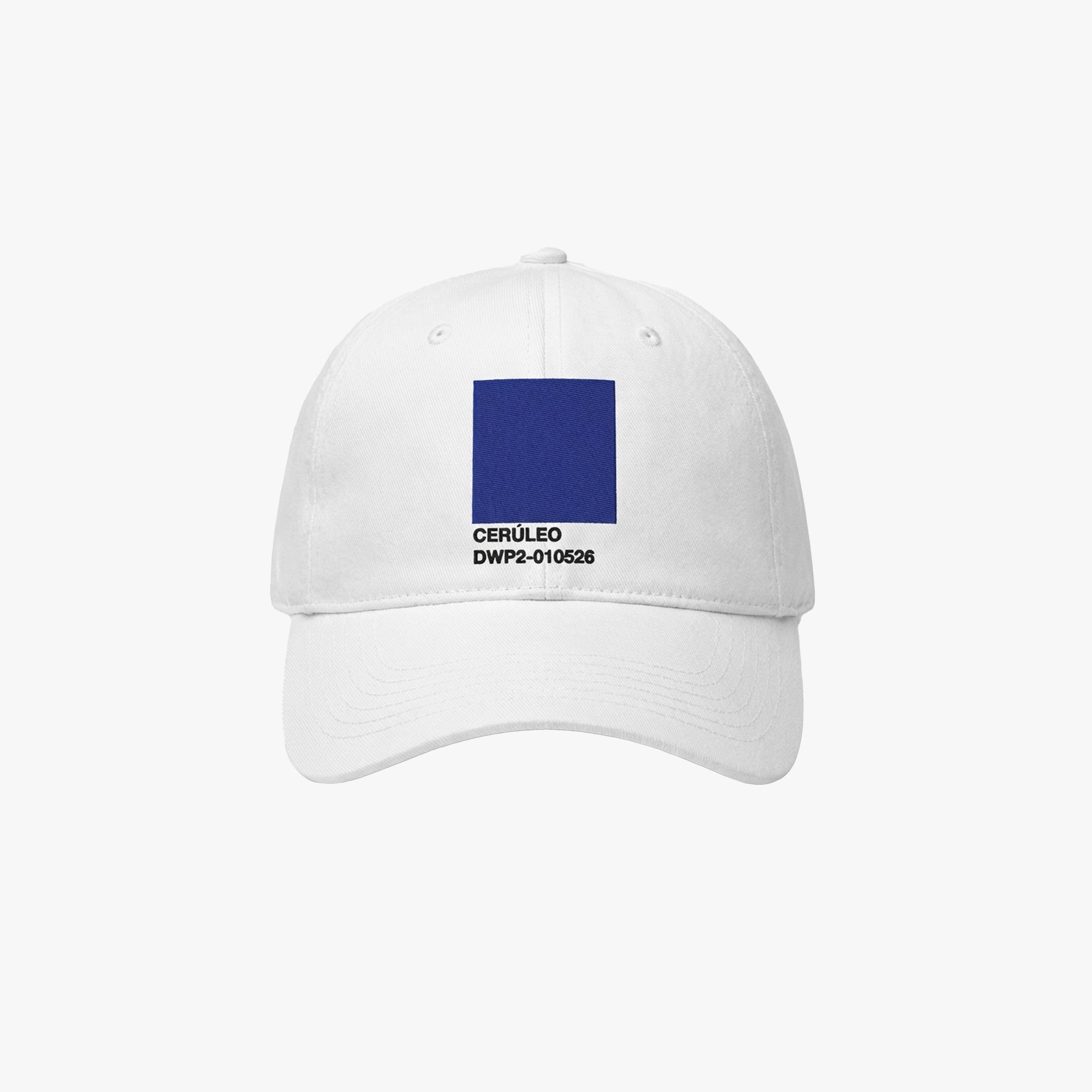 CERÚLEO | DWP2-010526 Mexico City Hat