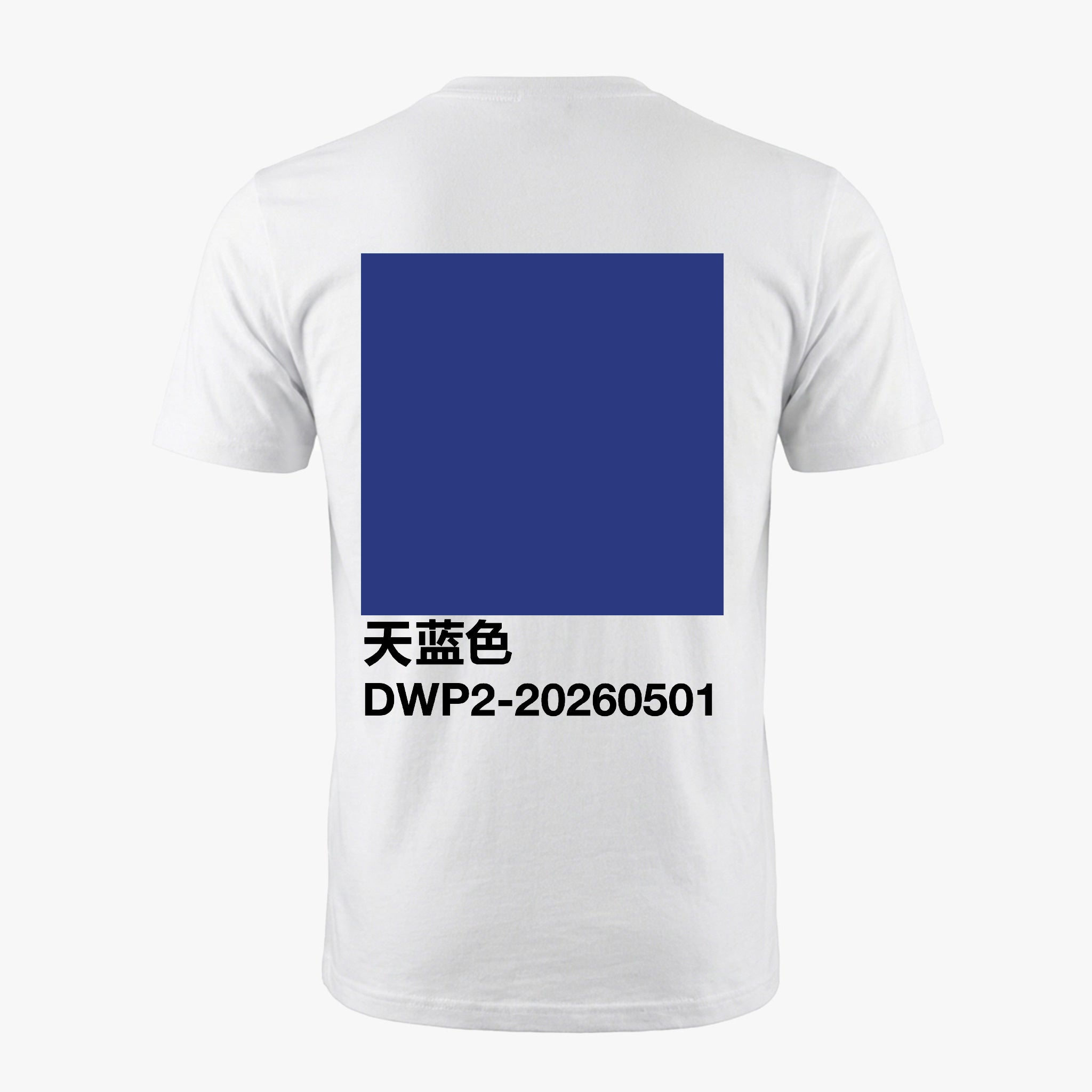 天蓝色 | DWP2-20260501 Shanghai Tee