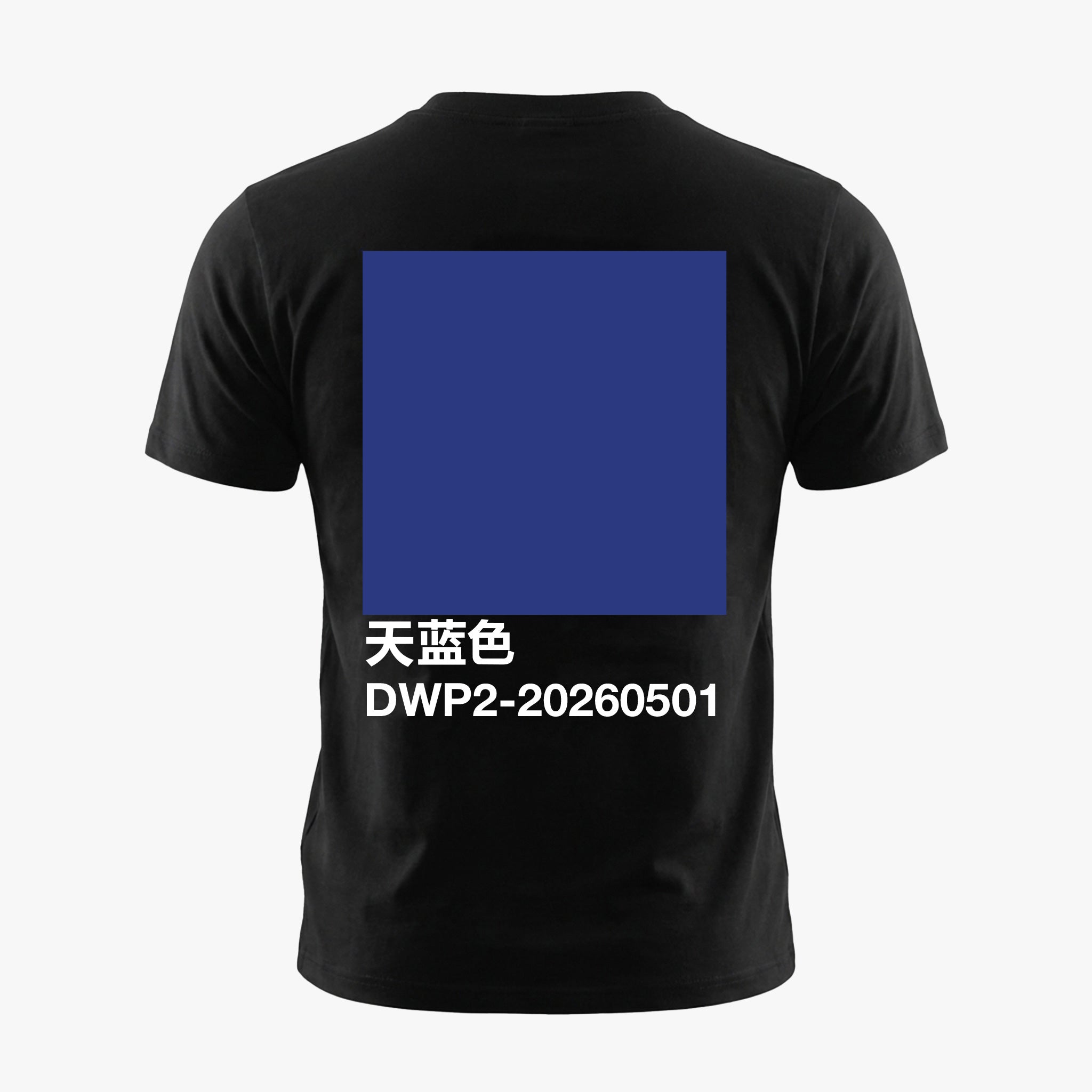 天蓝色 | DWP2-20260501 Shanghai Tee