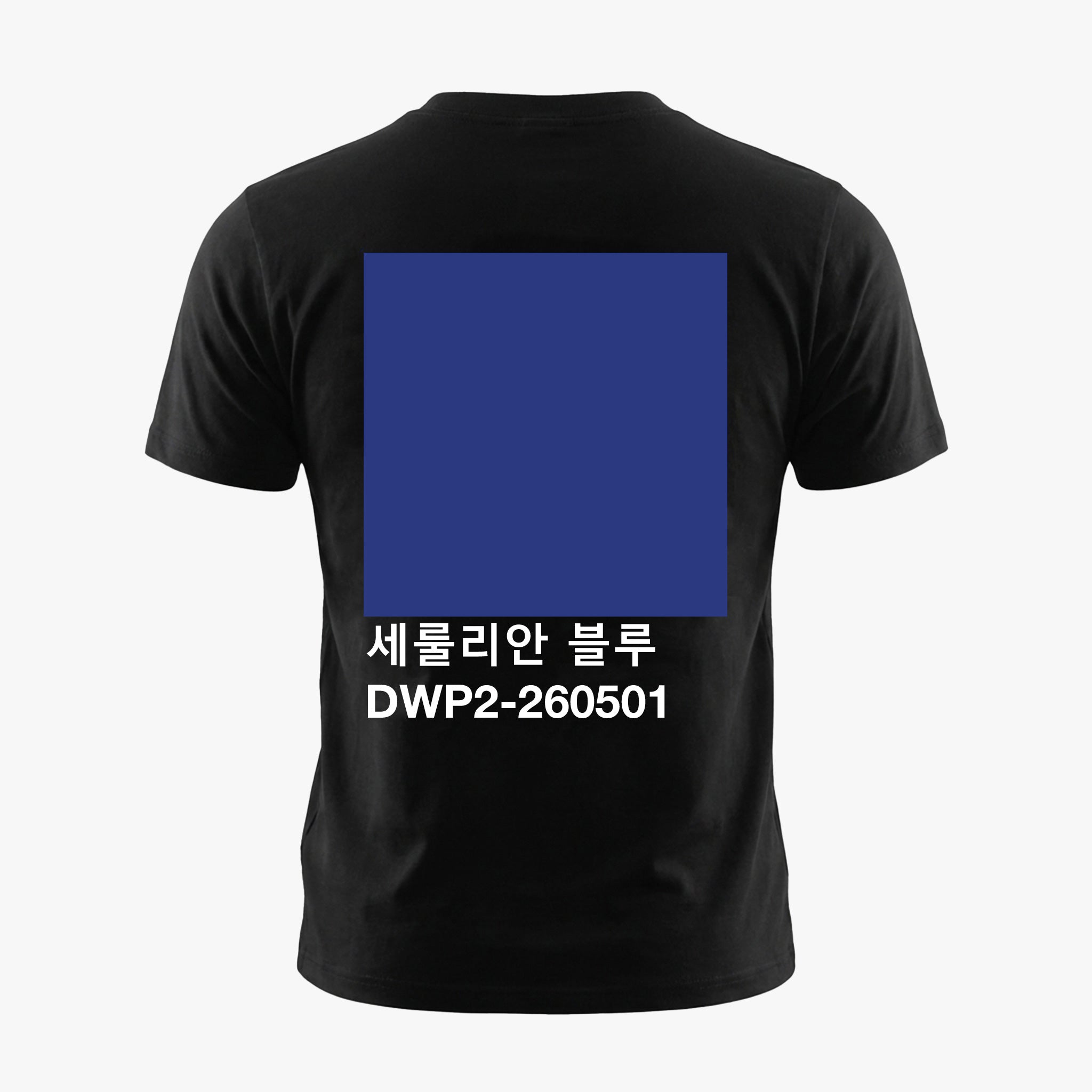 세룰리안 블루 | DWP2-260501 Seoul Tee