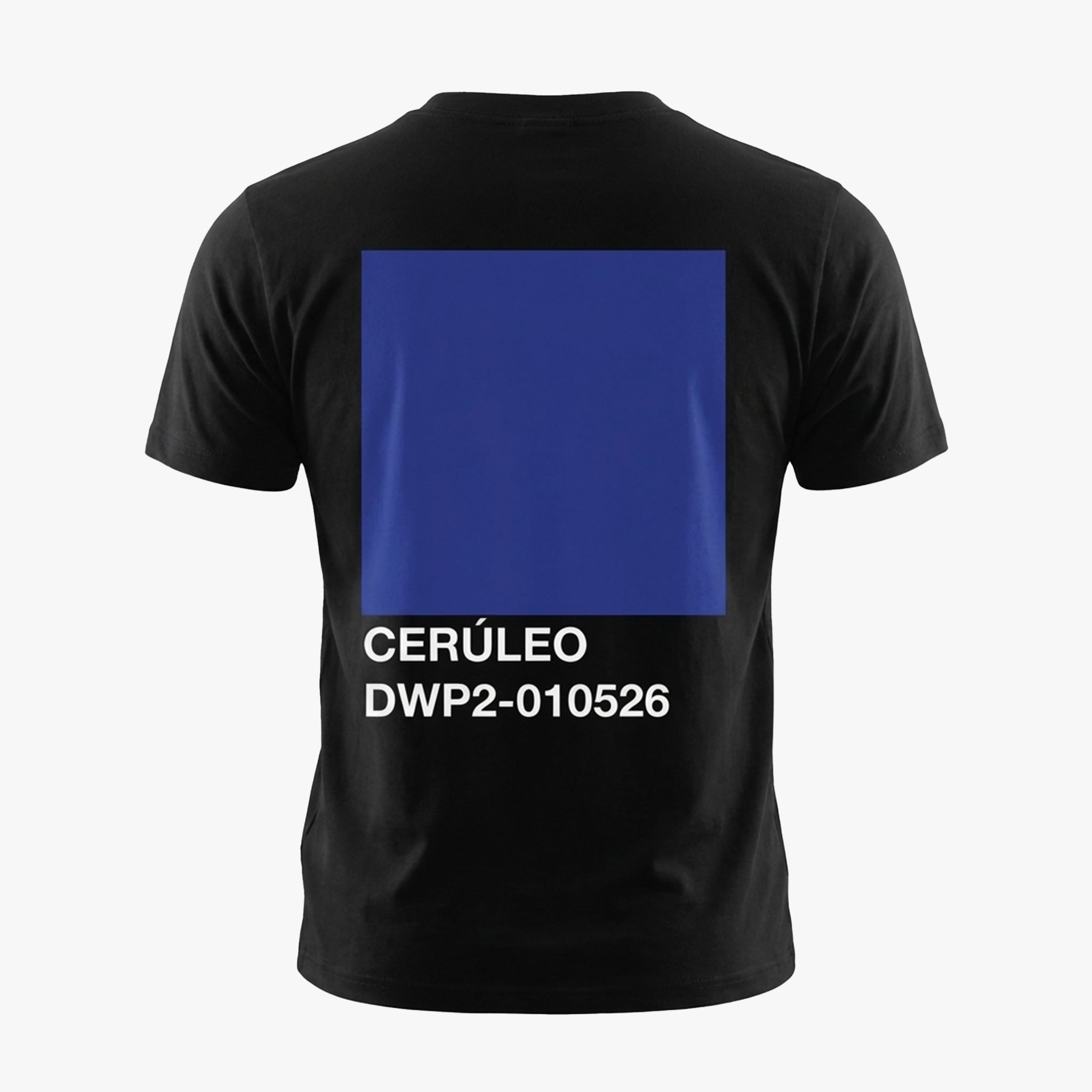CERÚLEO | DWP2-010526 Mexico City Tee