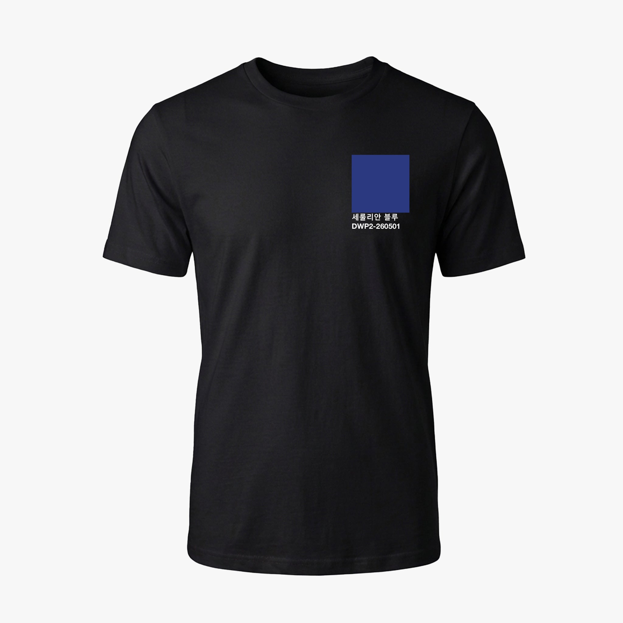 세룰리안 블루 | DWP2-260501 Seoul Tee