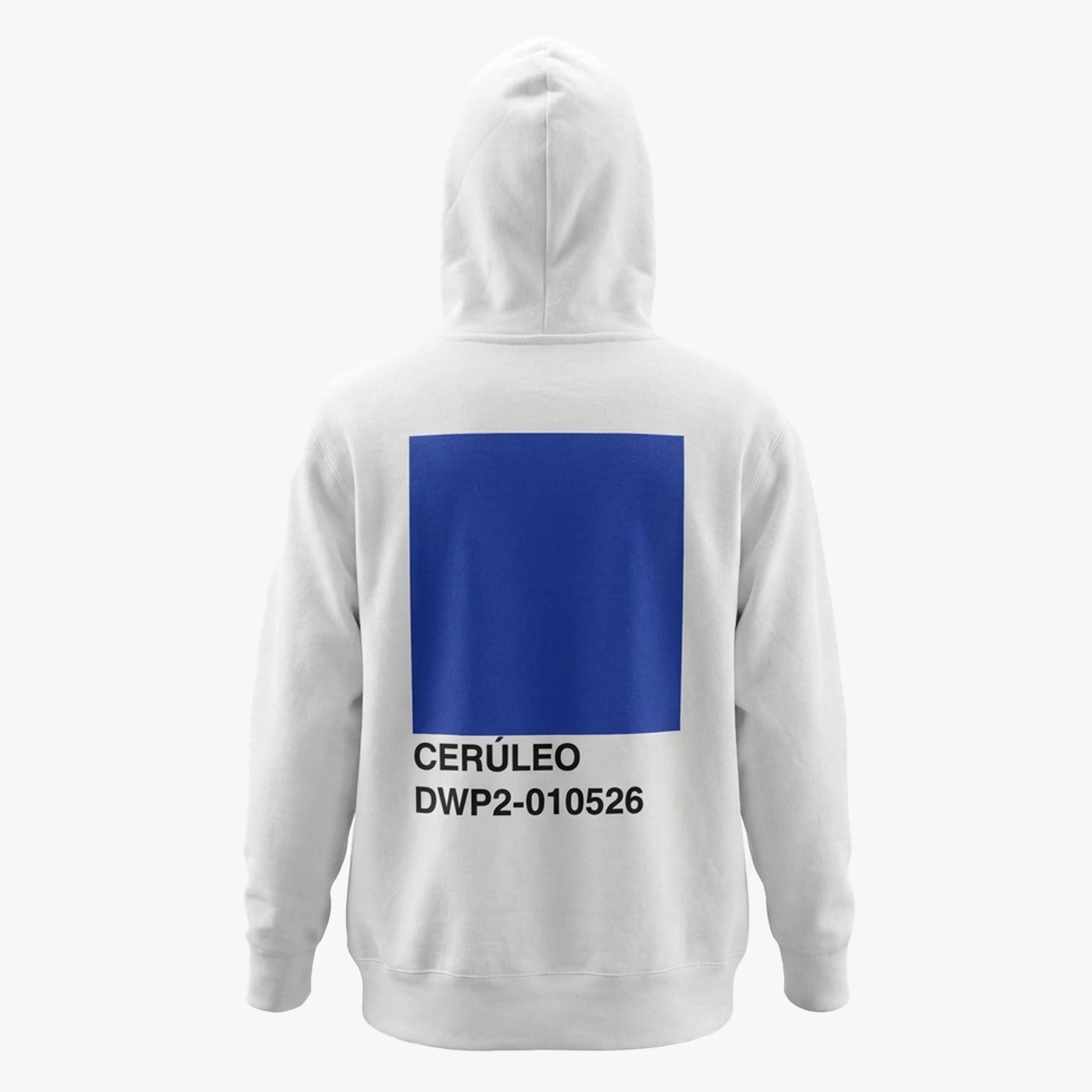 CERÚLEO | DWP2-010526 Mexico City Hoodie