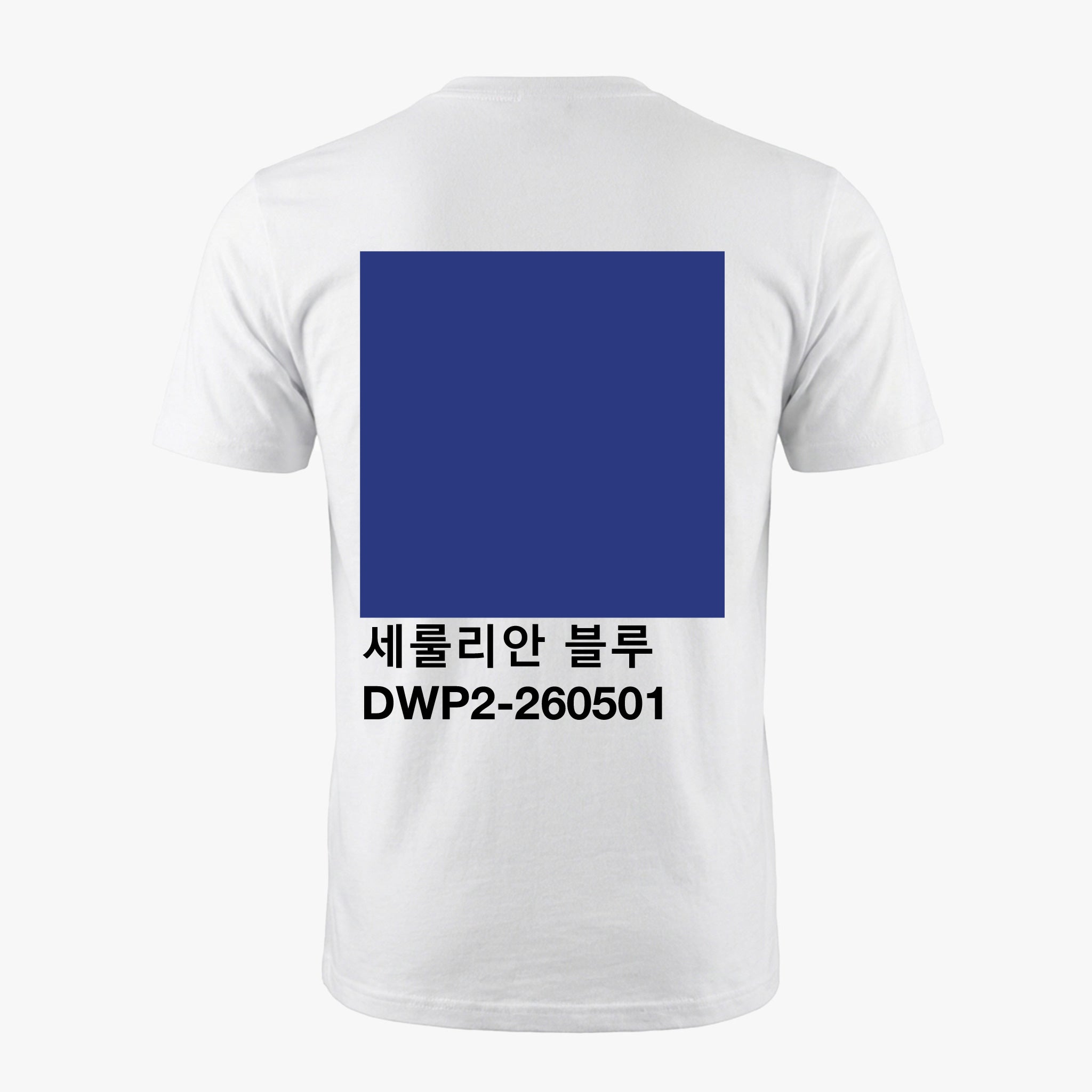 세룰리안 블루 | DWP2-260501 Seoul Tee