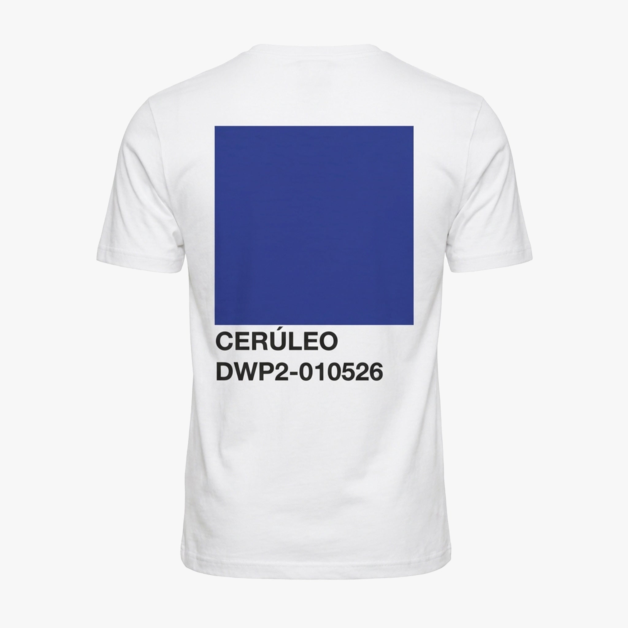 CERÚLEO | DWP2-010526 Mexico City Tee